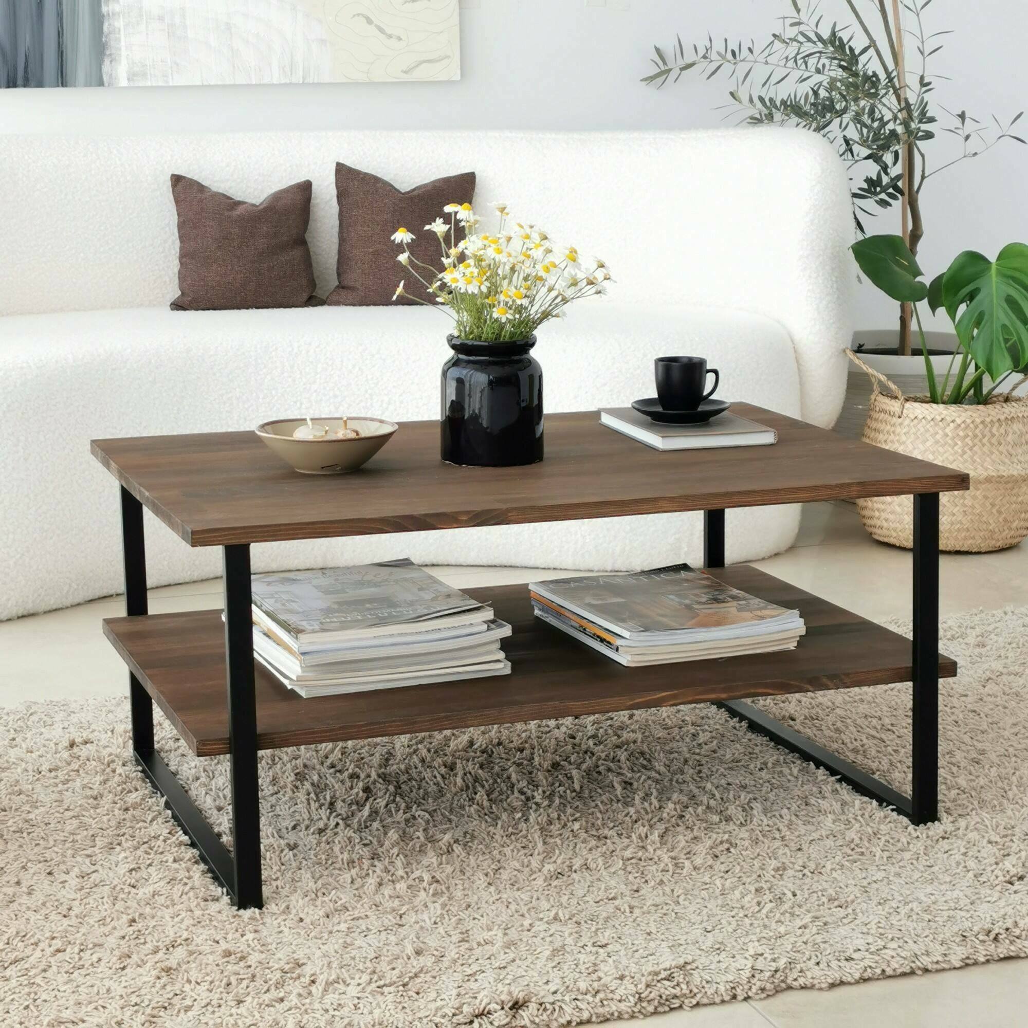 Tavolino da salotto Aprica, Tavolo basso da caffè, Portariviste per divano, Ripiano da soggiorno, 85x60h40 cm, Noce